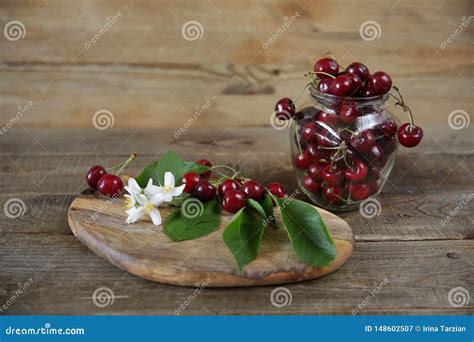 Cerejas Org Nicas Frescas Em Um Ramo Folhas E As Flores Brancas