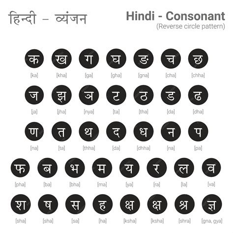 hindi consonants vyanjan  vector adobe illustrator premium vector
