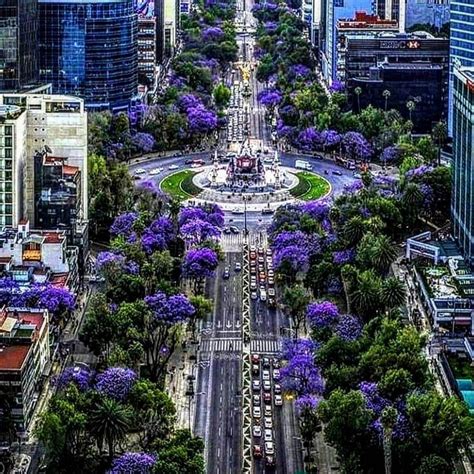 Lugares En La Cdmx Que Puedes Visitar Sin Gastar Mucho Ciudad De