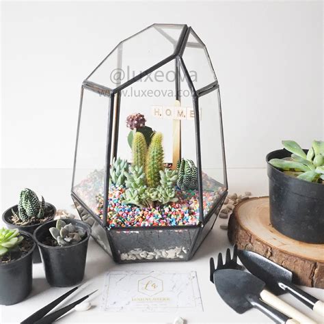 Glass Terrarium Containers Geometric Terrarium Glass Planter