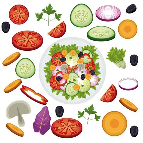 Salad Vegetables Food Healthy Organic Stock Vector Illustration Of Fresh Vector 110426860