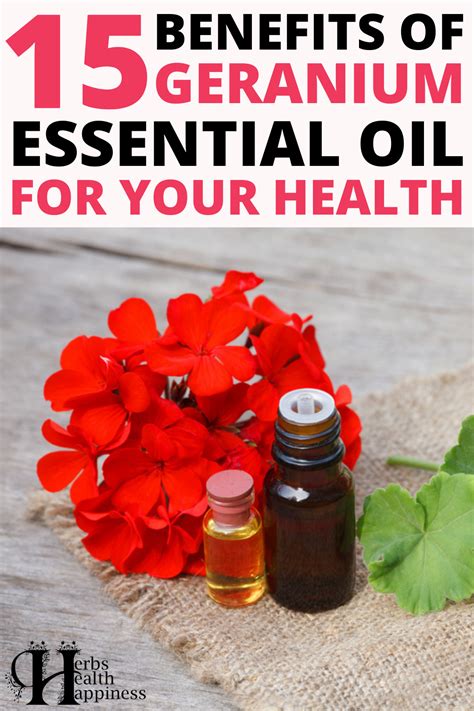 Benefits Of Geranium Essential Oil Geranium Essential Oil