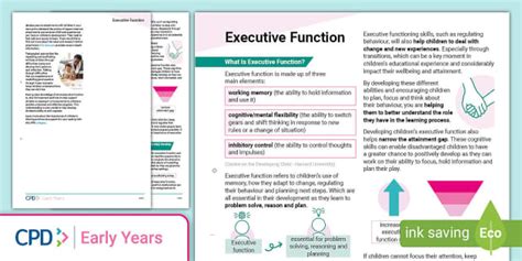 Executive Function Eyfs Practitioner Support Cpd Twinkl