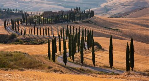 Tuscany Road Trip: The Perfect 5 Day Tuscany Itinerary - Eternal Arrival