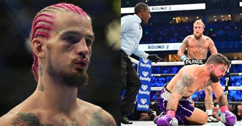 Sugar Sean O Malley Reacts To Jake Paul S Gutsy Callout Of Fellow UFC