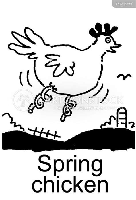 Spring Chicken Cartoons and Comics - funny pictures from CartoonStock