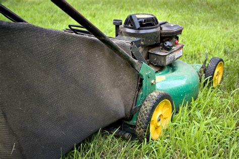 Lawn Sweeper Vs Bagger What Is The Best Suitable For Your Lawn