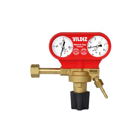 Pressure Regulator Natural Gas Westec