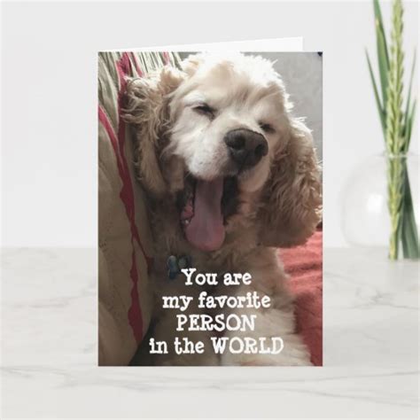 You Are My Favorite Person In The World Card Zazzle