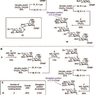 A Retrosynthesis Of E Coli O A O Ps Fragments B Structures Of