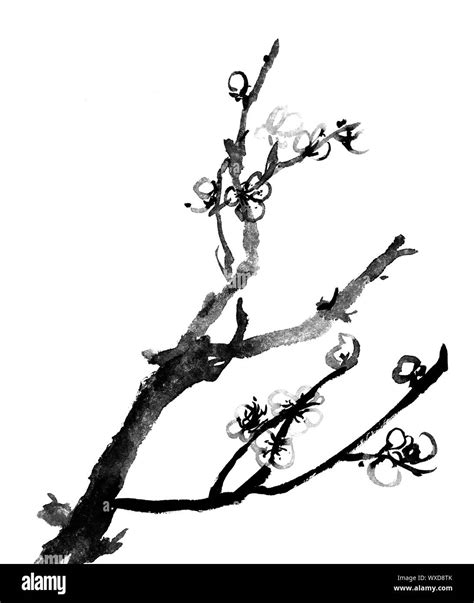 Chinese black and white traditional ink painting, plum blossom on white ...