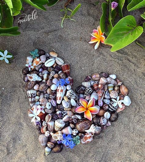 3 184 Likes 73 Comments Shells Adventure Mermaid Maui Mauibelle On Instagram “summer