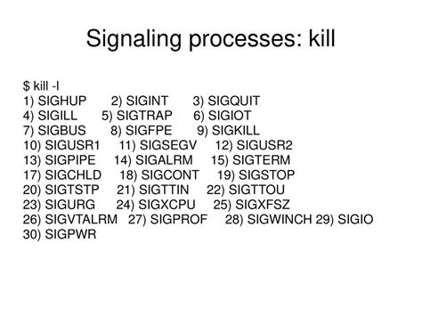 Chapter The Unix Shells Bourne Shell Korn Shell C Shell Ppt