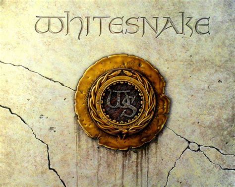 Whitesnake Wallpapers Top Free Whitesnake Backgrounds Wallpaperaccess