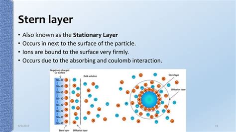 Electrical double layer theory | PPT