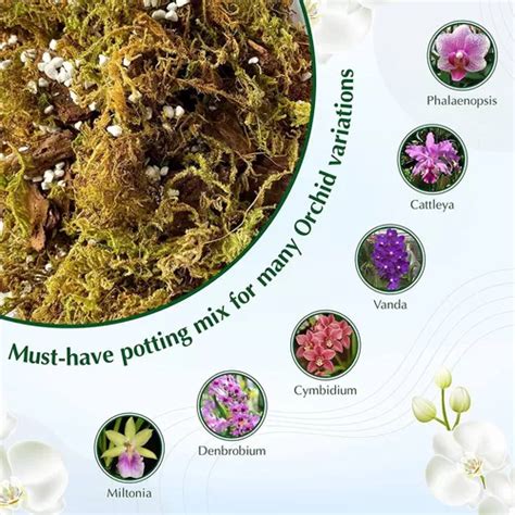 Duspro Orchid Potting Mix With Moss Pine Bark Mulch Perlite Env O Gratis