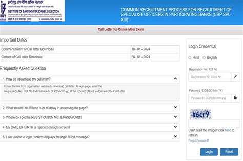 IBPS CRP SPL XIII Specialist Officer SO Mains Admit Card 2024 Out