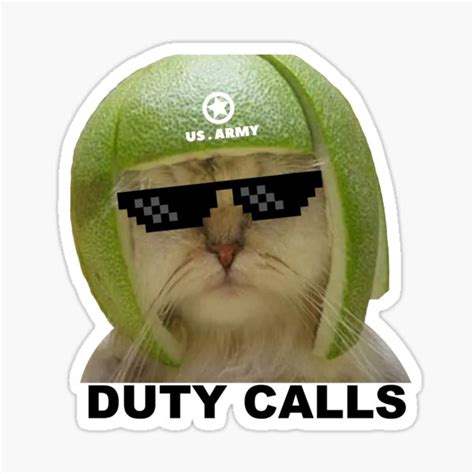 "Limecat - funny lime cat meme" Sticker by Raiko-art | Redbubble