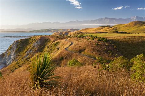 Golden Sunset Over Kaikoura Peninsula Walkway New Zealand Photo