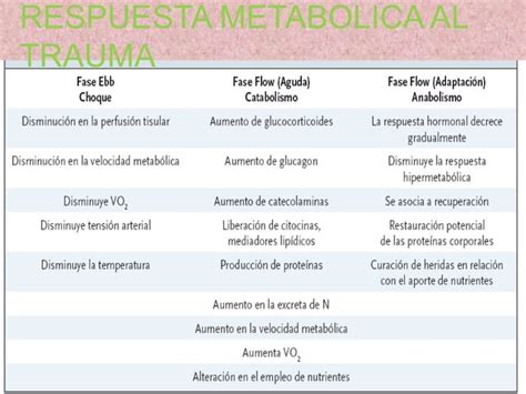 Nutricion En El Paciente Quir Rgico Ppt