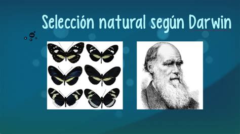 Selección natural según Darwin by Isabel Ruano Peñalver on Prezi