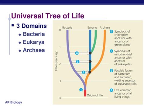 Phylogeny And Systematics Ppt Download