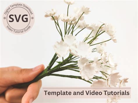 Paper Flower Template Baby S Breath Gypsophila Digital Svg Video