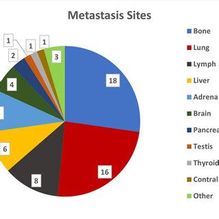 The metastasis site distribution of cases | Download Scientific Diagram