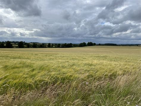 Fields East Of Borough Down Farm Fernweh Geograph Britain And Ireland