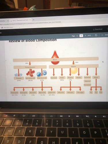 Chapter 12 Blood Flashcards Quizlet