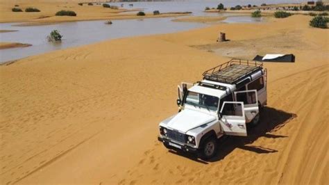 El Desierto Del Sahara Se Inundó Por Primera Vez En 50 Años