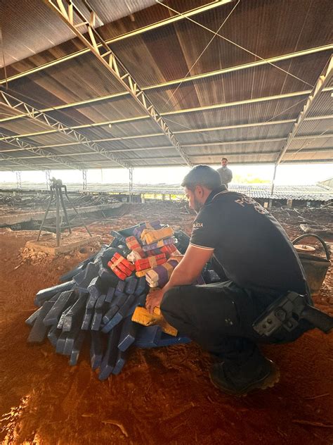 Polícia Civil incinera mais de 200 kg de entorpecentes em Milagres