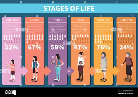 Human Life Stages Stock Vector Images Alamy