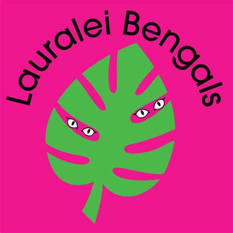kittens  sale lauralei bengals