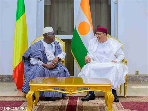 L Ambassadeur Du Mali Au Niger A Pr Sent Ses Lettres De Cr Ance Mali