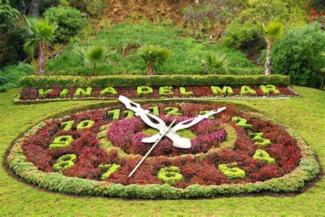 Hombre Realiz Destrozos En Reloj De Flores De Vi A Del Mar Y