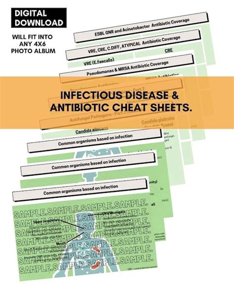 Antibiotic Infectious Disease Cheat Sheet 4x6 Digital Etsy