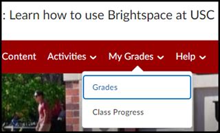 View Your Grades USC Brightspace Help