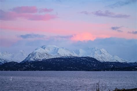 Alaska Wildlife Viewing | Travel Alaska