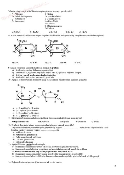 Temel Biyokimya Sınav Soruları Sayfa 2 Vize ve Final Soruları