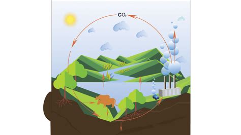 The Carbon Cycle And Climate Change Nsta