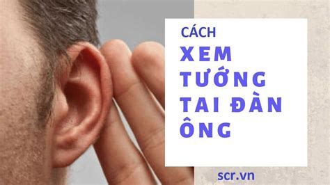 Xem Tướng Đàn Ông Lùn ️️ Những Bí Mật Bạn Nên Biết Tuvi365