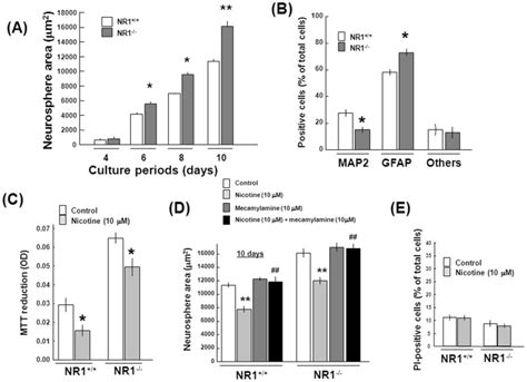 Neocortex Was Dissected From Wt Nr And Nmdar Null Nr Mice