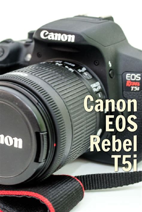 Which Entry Level Dslr Is The Best The Nikon 3300 Or The Canon T5i The Camera Guide Camera