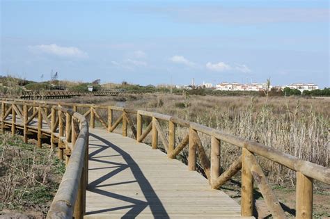 Playa Camarón La Laguna Chipiona Guía de Cádiz