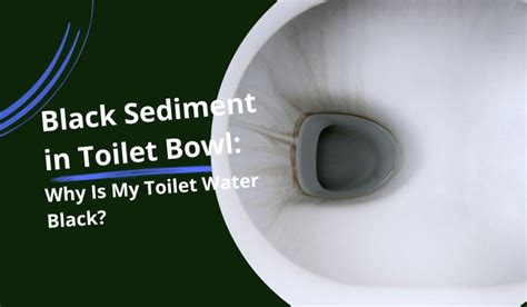 Black Sediment In Toilet Bowl Why Is My Toilet Water Black