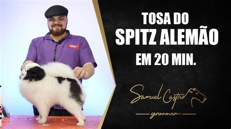 Tosa Do Spitz Alem O Em Min Samuel Castro Youtube