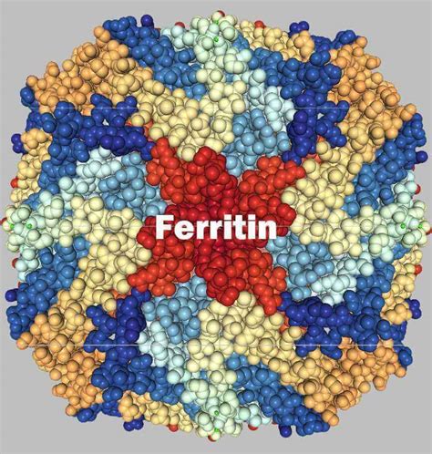 Protein Structure - Creative Biostructure