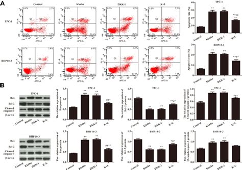 Klotho Regulated The Apoptosis Of Tpc And Bhp Cells Via The