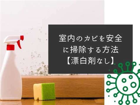 【カビ掃除】室内のカビを安全に掃除する方法【漂白剤なし】 20年以上の実績からお掃除のコツを伝授いたします 多治見のハウスクリーニング